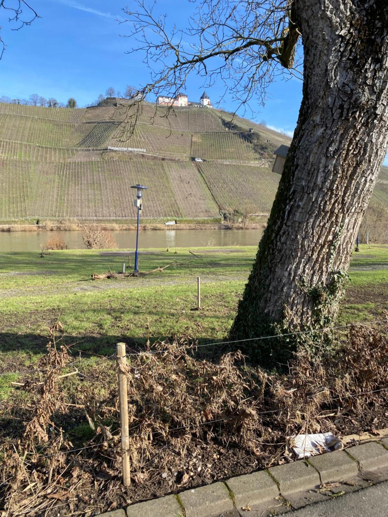 Rockenbach Punderich