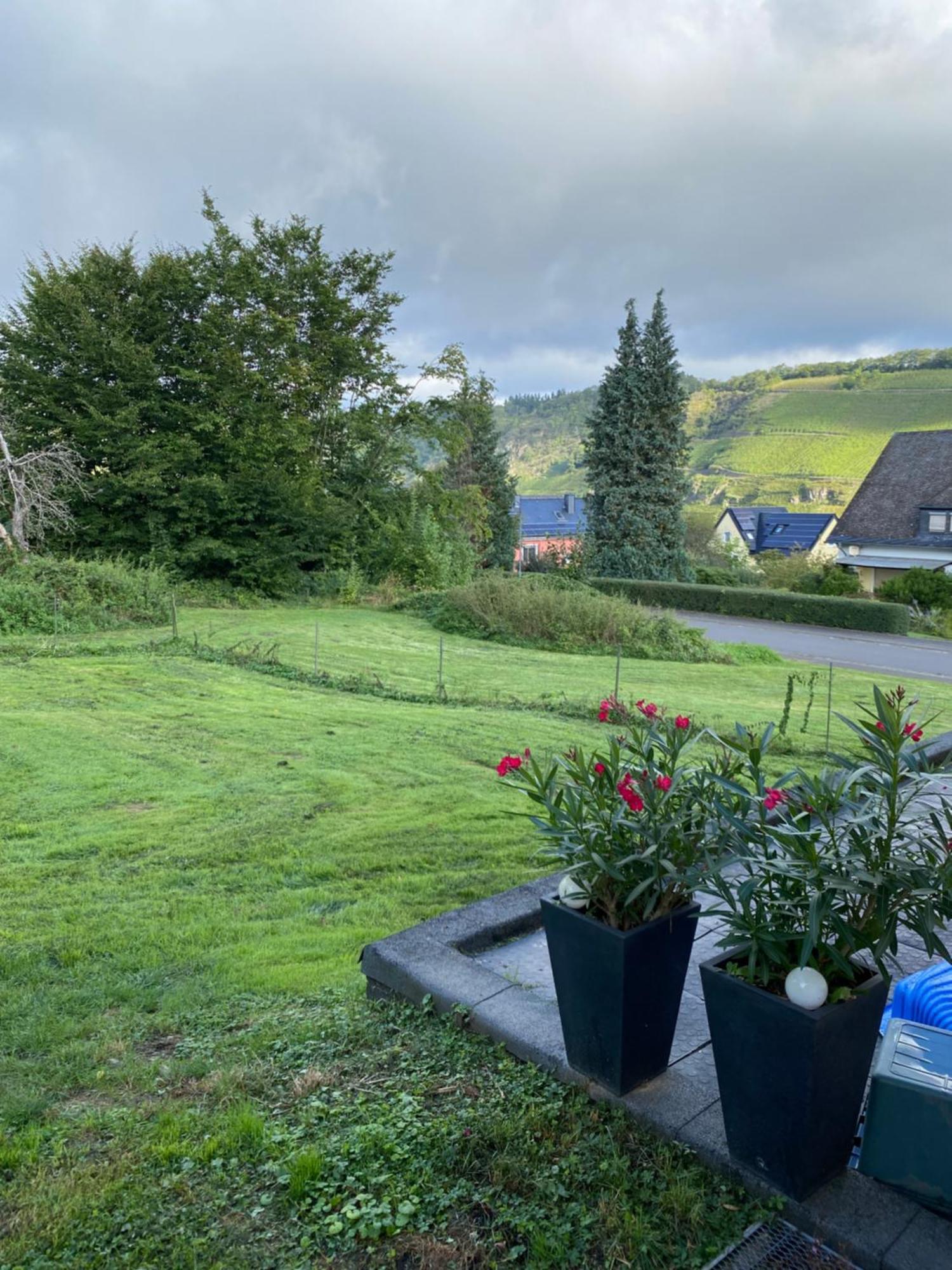 Apartment Rockenbach
